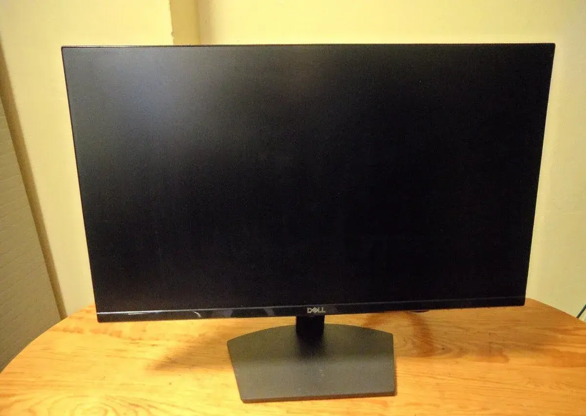 Dell SE2419H