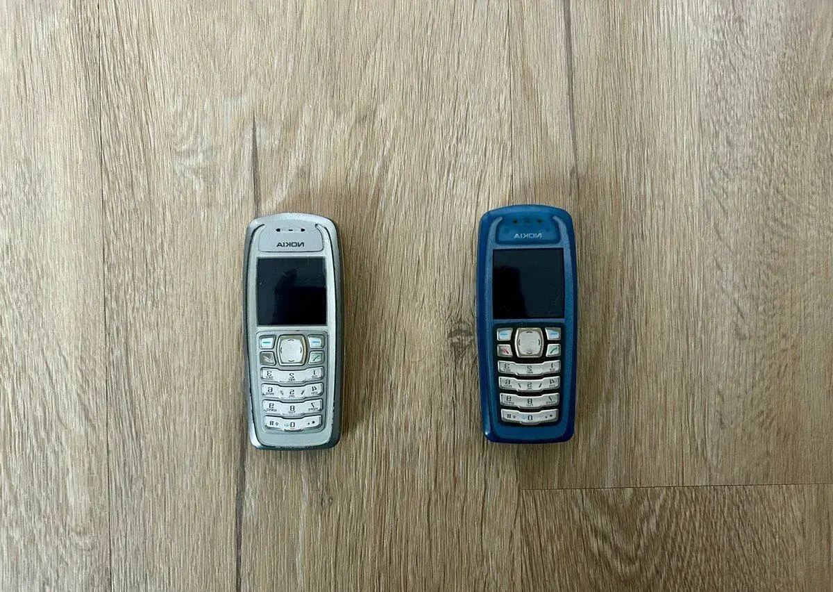 2x Nokia 3100
