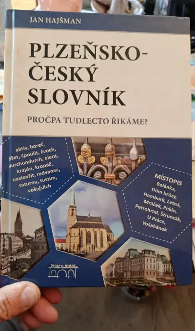 Plzeňsko - český slovník