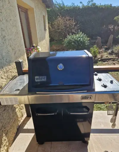Gril Weber