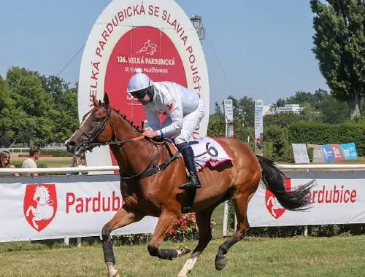 2x vstupenka na Velkou pardubickou