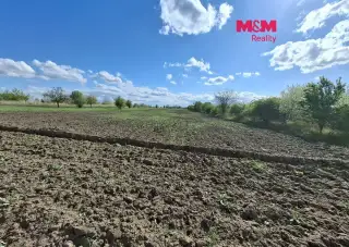 Prodej ovocného sadu, 3033 m², Pasohlávky