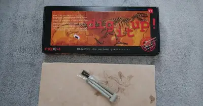 ARCHEO SADA – FOSILIE DINOSAURA