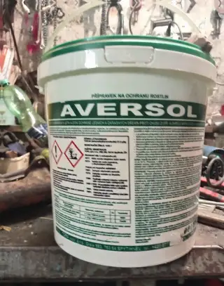 Lesní nater
