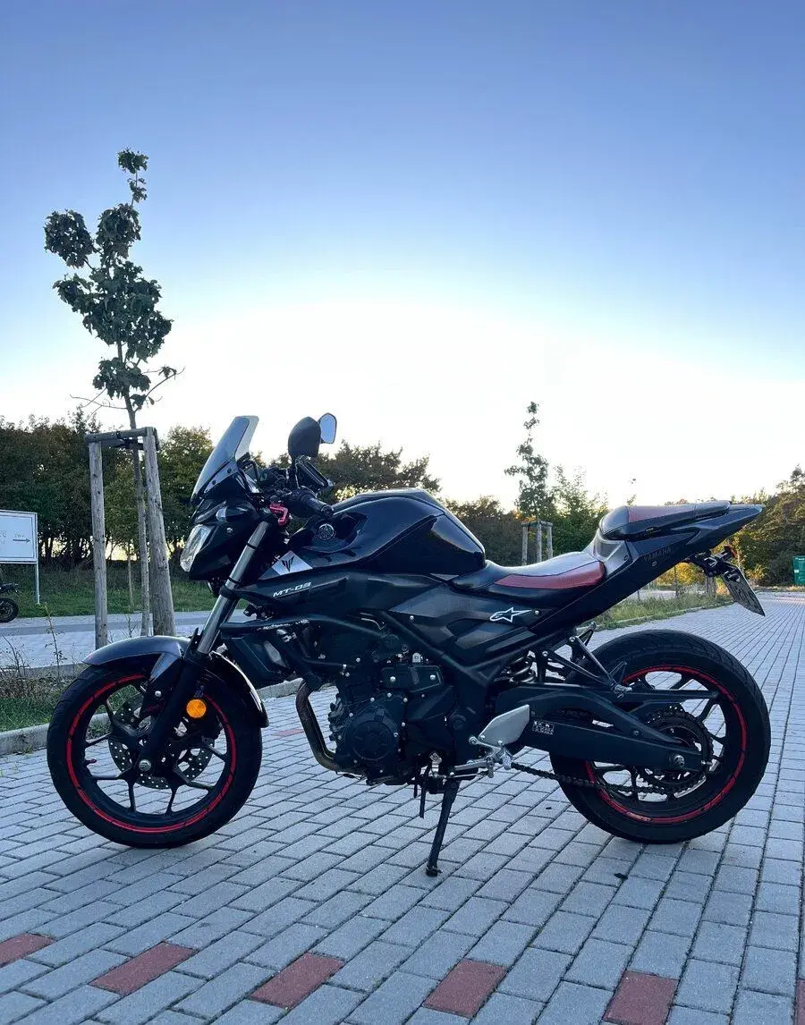 Yamaha Mt 03, 2016, akrapovič