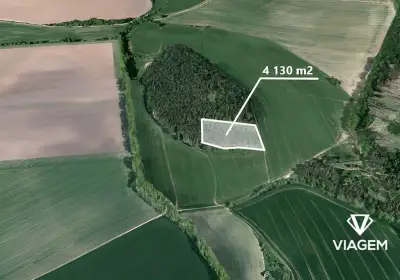 Les 4 603 m², Podíl 25 % o výměře 1 151 m²
