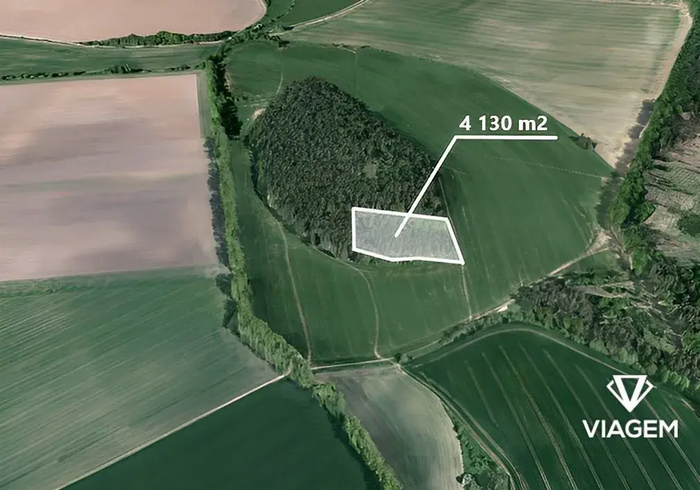 Les 4 603 m², Podíl 25 % o výměře 1 151 m²