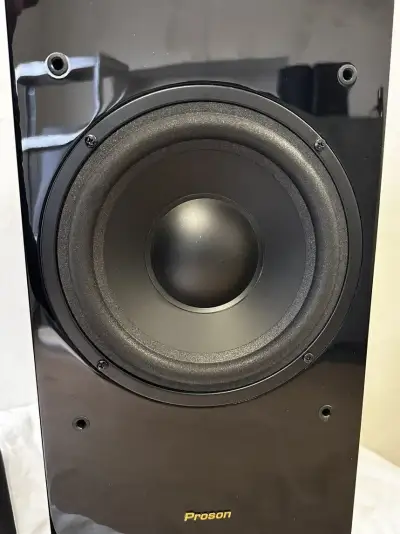 Aktivní subwoofer Proson Rumble R-8 (klavírní lak)