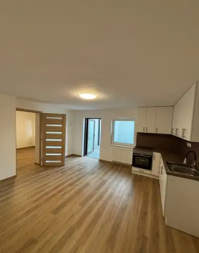 3+kk BEZ KAUCE,V.I.P.služby,bazén,krb,gril,parkování,úklid