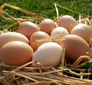 Domácí vajíčka 🥚