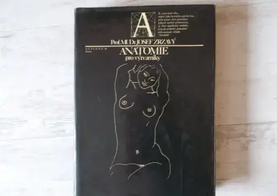 Anatomie pro výtvarníky