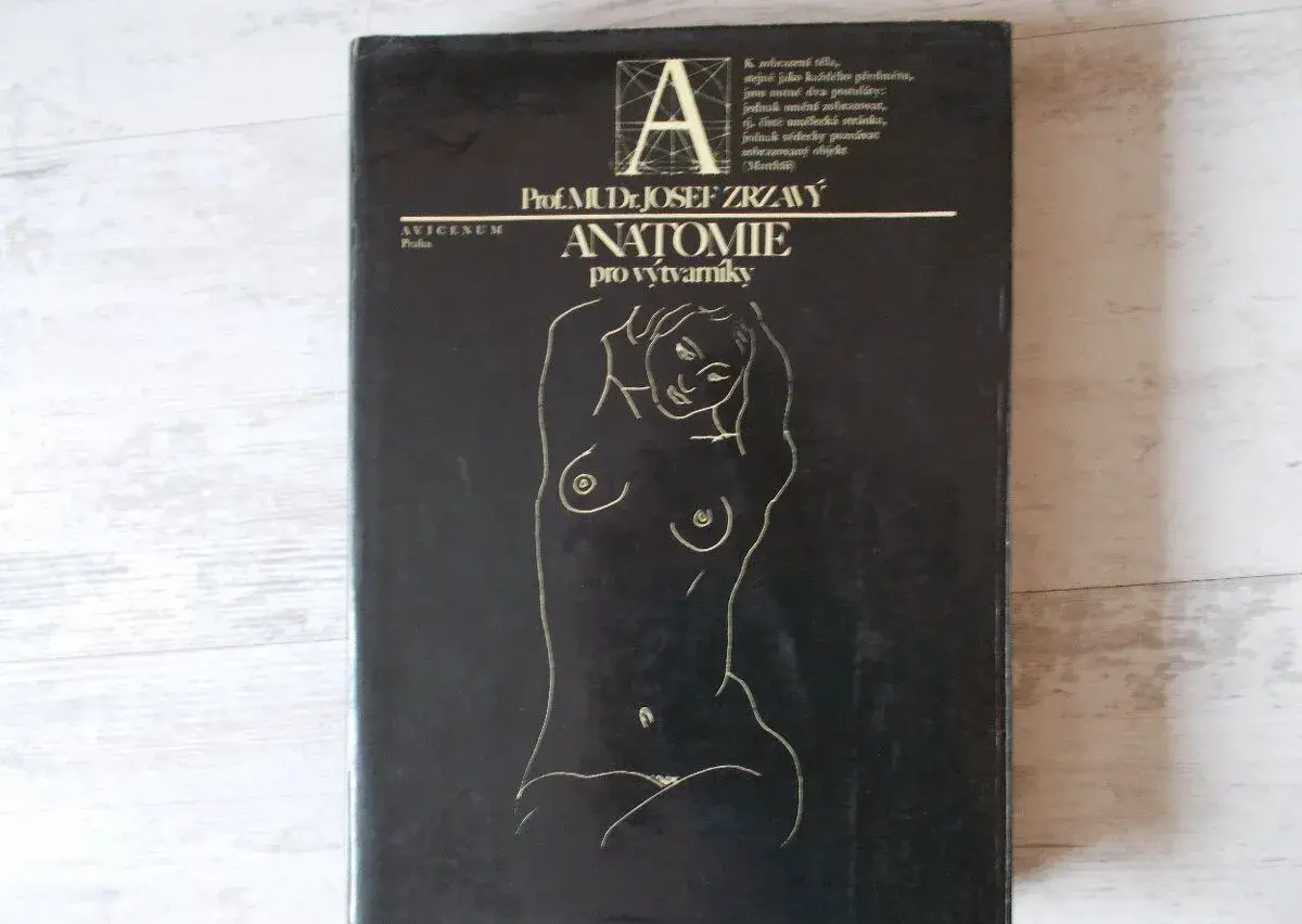Anatomie pro výtvarníky