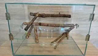 Terárium