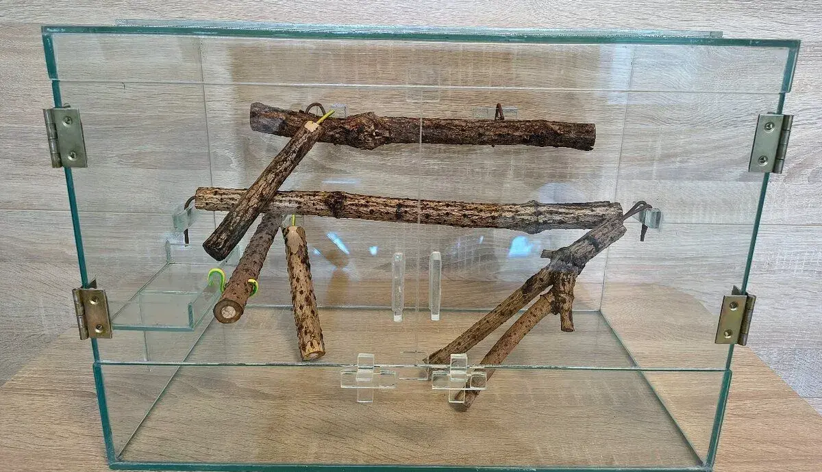 Terárium