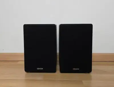 DENON Regalove repro