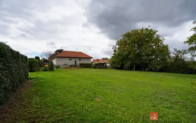 Prodej, pozemky/bydlení, 1036 m2, Hadačka , Výrov, Plzeň-sev