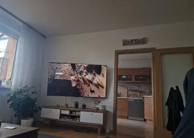 Televizor TCL 65"
