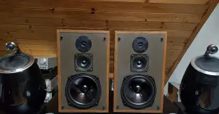 Magnat Sonobull 10 Reprobedny