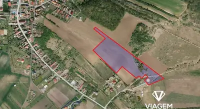 Pole 9 372 m², Podíl 8 % o výměře 781 m²