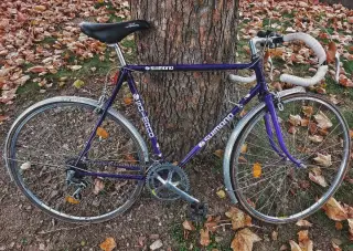 Kolo shimano