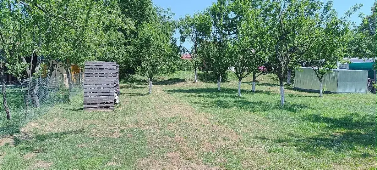 Pronájem pozemku u řeky Moravy, Ostrožské předměstí