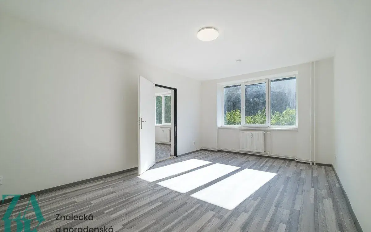 Pronájem bytu 1+1, Střekov, Ústí nad Labem, ev.č. 01071