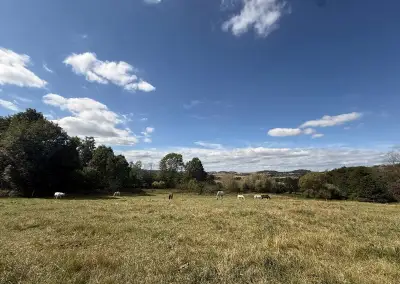 Odchov hříbat (holčičí a klučičí stádo zvlášť)