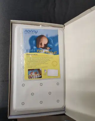 Monitor dechu Nanny