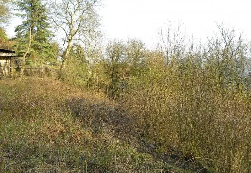 Zahrada v Doběticích