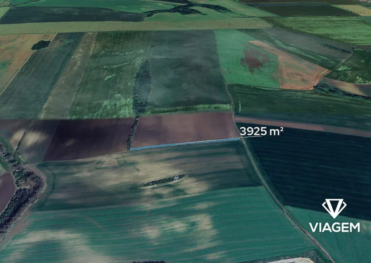 Pole 3 925 m², Podíl 13 % o výměře 491 m²