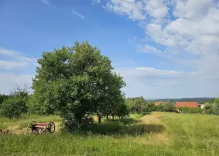 Stavební pozemek Babice nad Svitavou