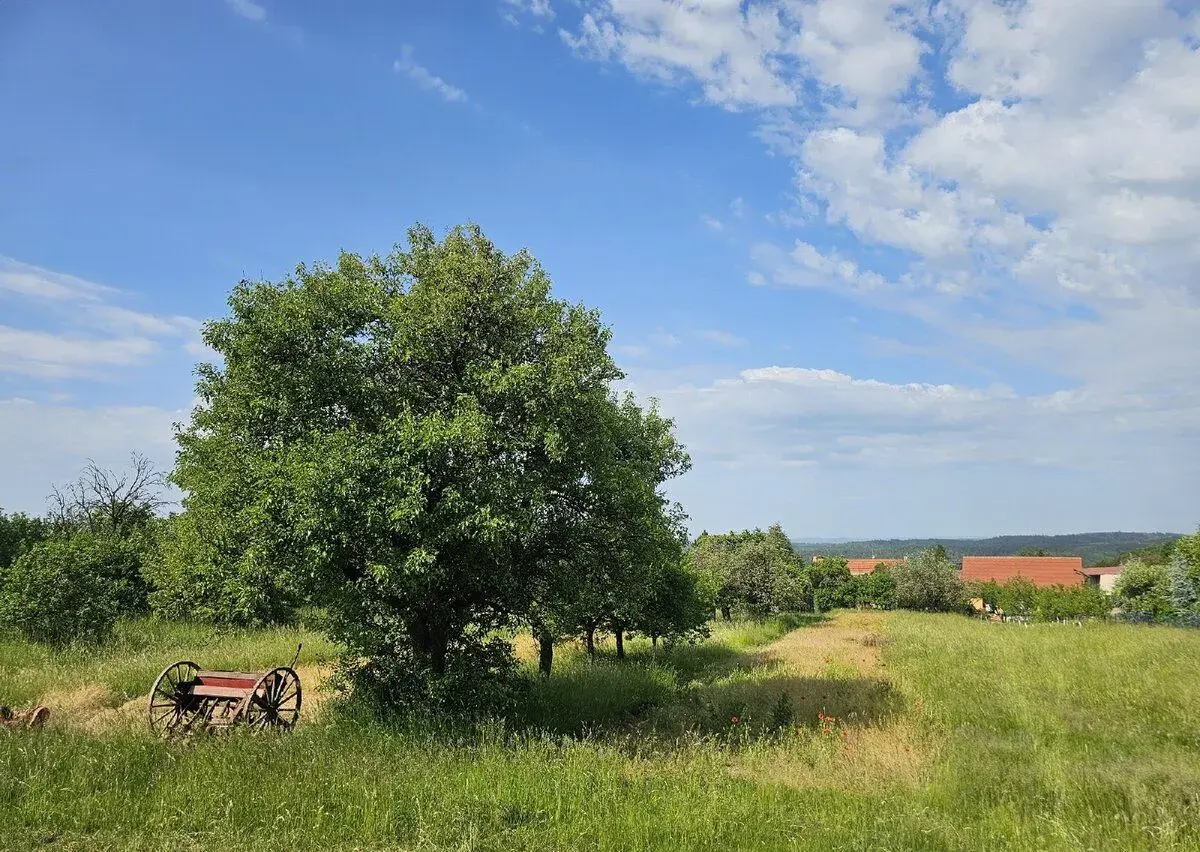 Stavební pozemek Babice nad Svitavou