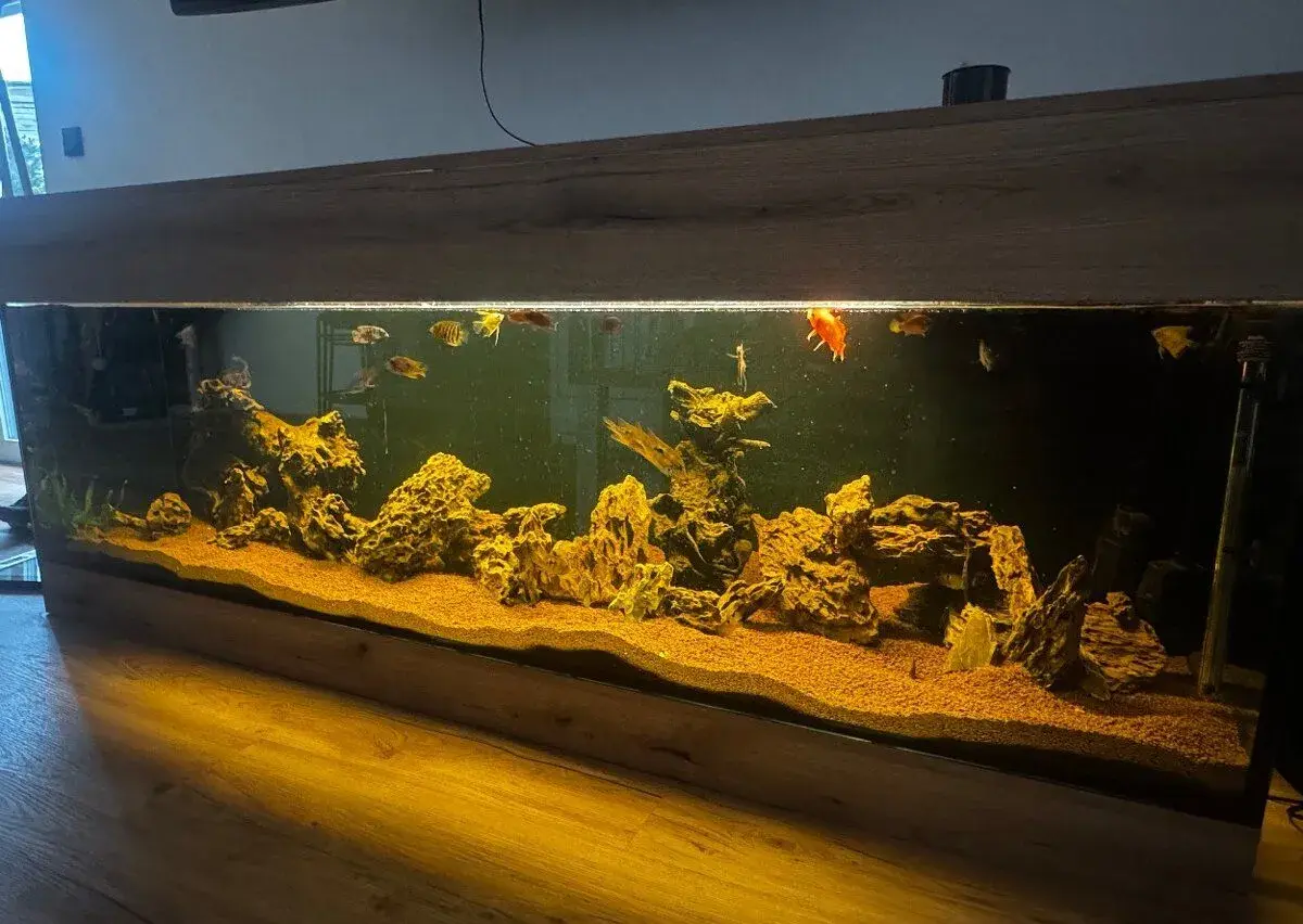 Komplet akvárium 220x65x70