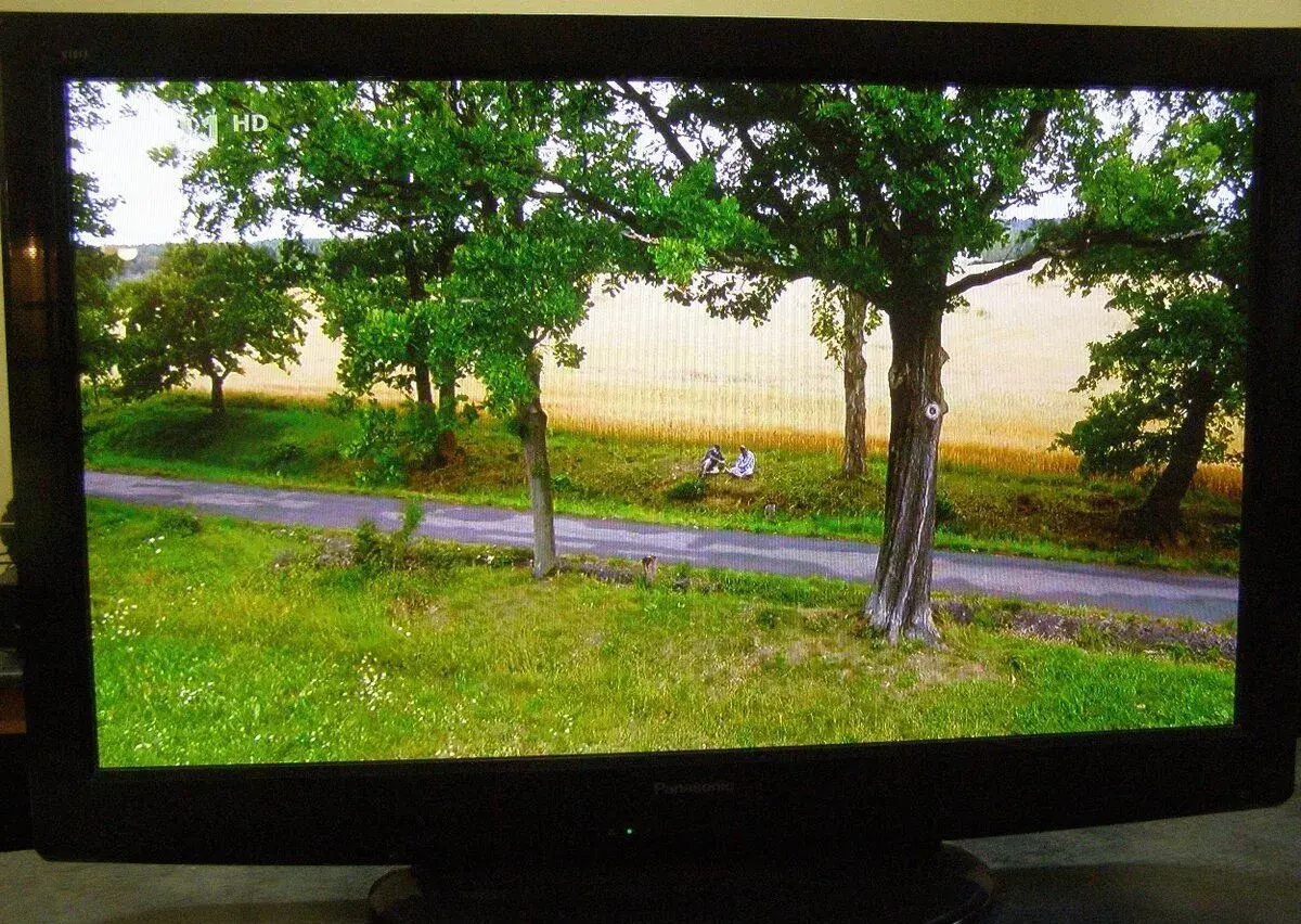 Plasma Panasonic TX-P42X20E
