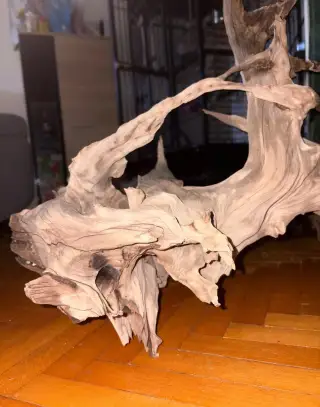 Kořen do akvária