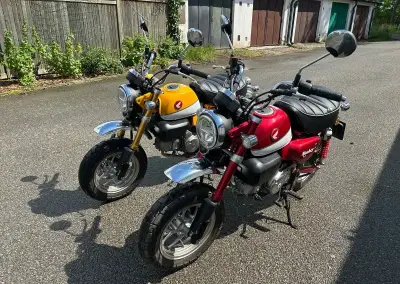 Honda Monkey 125 žlutá, r. 2019