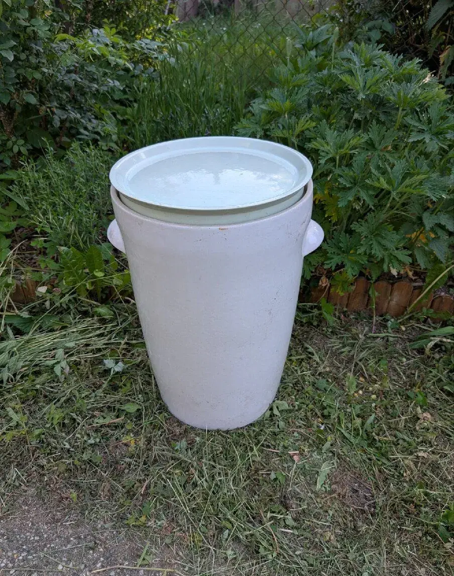 Kameninový zelák