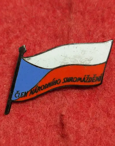 Stříbrný odznak, Člen národního shromáždění.