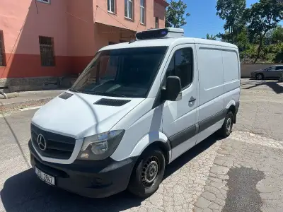 Mercedes-Benz Sprinter – 2018, 509 385 km