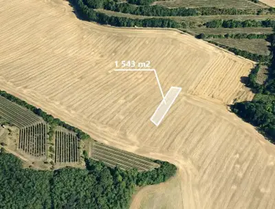 Pole 1 543 m²