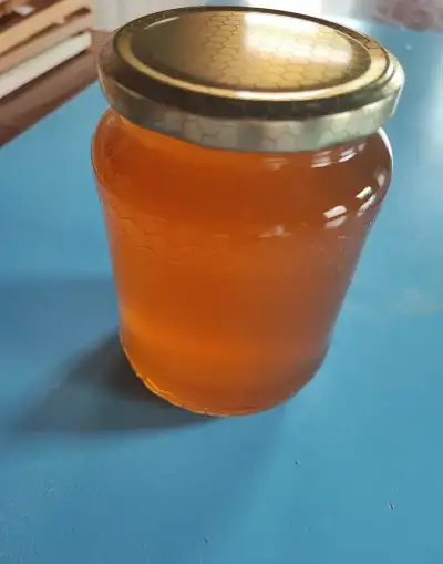 Med květový nebo lesní