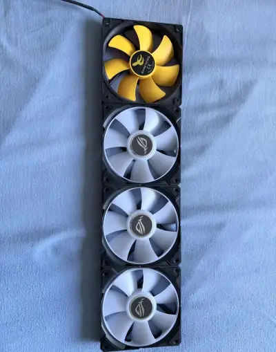 4x12cm fany