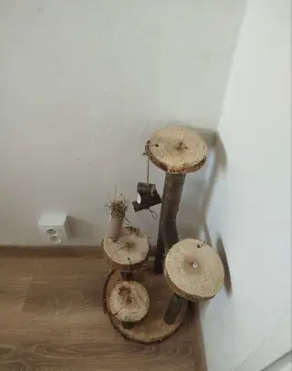 Strom pro osmáky, činčily