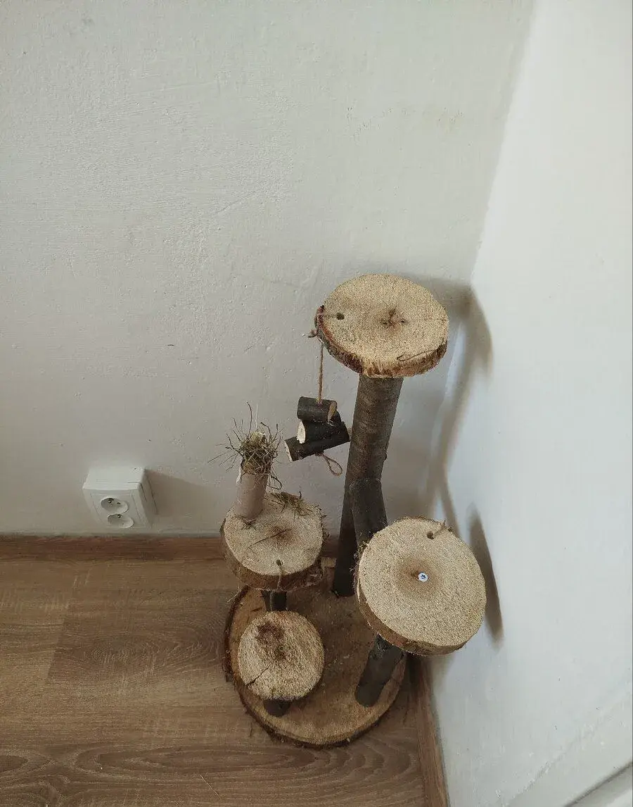 Strom pro osmáky, činčily