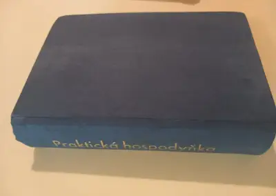 Praktická hospodyňka