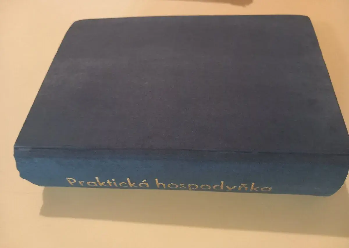Praktická hospodyňka
