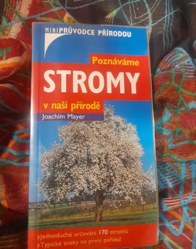 Poznáváme stromy v přírodě