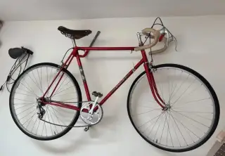 Favorit kolo 1966