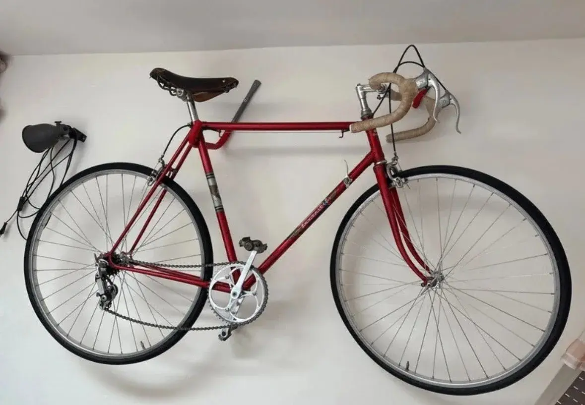 Favorit kolo 1966
