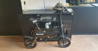 Ebike Sponge City černý